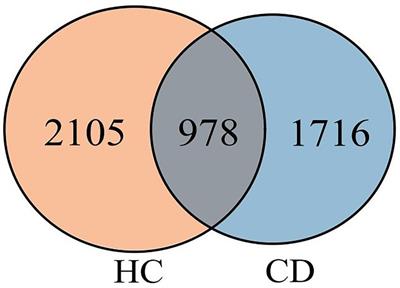 Characteristics of gut microbiota and fecal metabolomes in patients with celiac disease in Northwest China